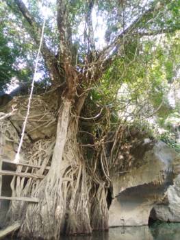 Khao Sok National Park - kanotocht in nationaal park in Khao Lak