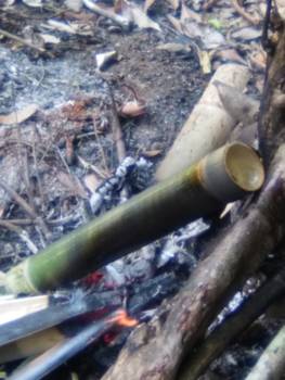 Khao Sok National Park - koffie maken in bamboebuis in nationaal park