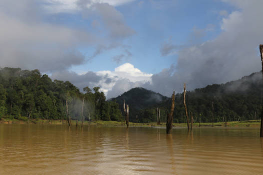 Khao Sok National Park - Lost land of Chew Lan Lake