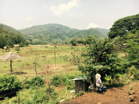 Thailand - Travels in thailand