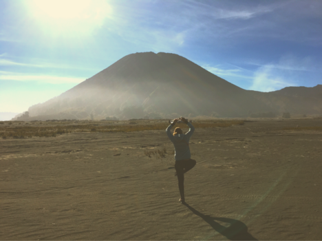 Bromo Vulkaan - BROMO