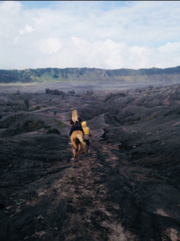 Bromo Vulkaan - Bromo vulkaan indonesië