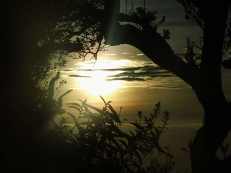 Bromo Vulkaan - Zonsopkomst bij de Bromo