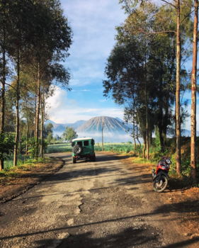 Bromo Vulkaan - Bromo
