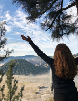 Bromo Vulkaan - What a view - Mount Bromo