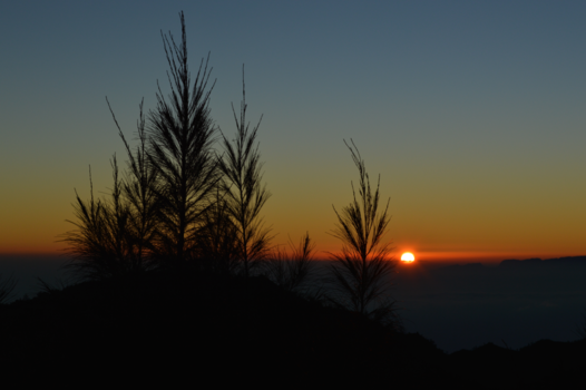 Bromo Vulkaan - Zonsopkomst Bromo vulkaan