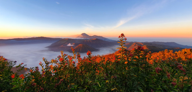 Bromo Vulkaan - Bromo
