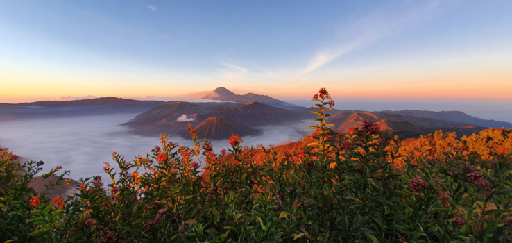 Bromo Vulkaan - Bromo