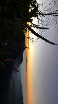 Bromo Vulkaan - Bromo sunrise