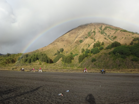 Bromo Vulkaan - Bromo vulkaan