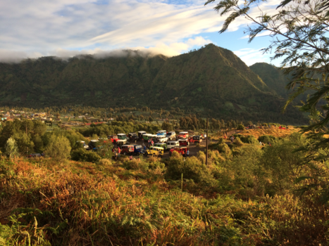 Bromo Vulkaan - het vervoer naar boven