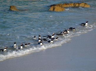 Tui - Boulders adventures