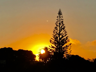 Travel Essence - Waiheke zonsondergang