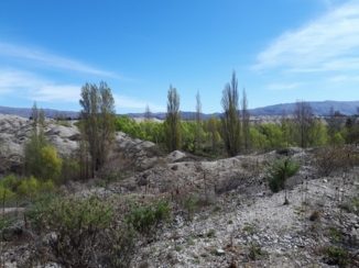 Travel Essence - Alexandra to Clyde River Track