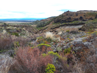 Travel Essence - Taranaki Falls, Tongariro National Park