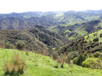 Travel Essence - Top of the World, Blue Duck Station